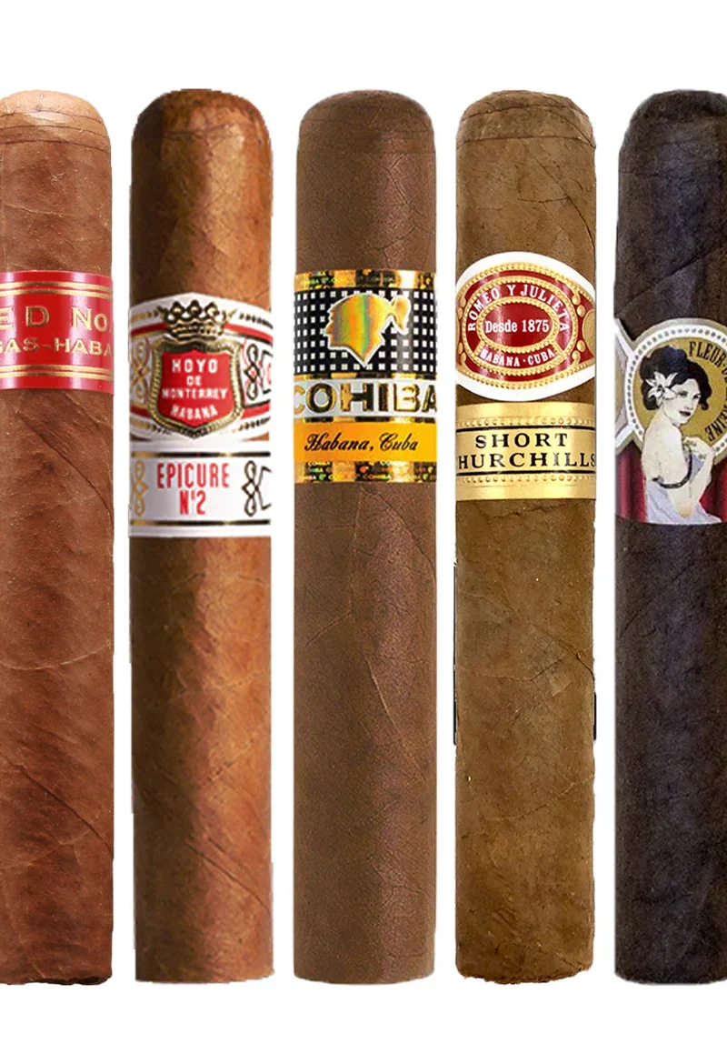 Newbee Must of Rubusto Sampler